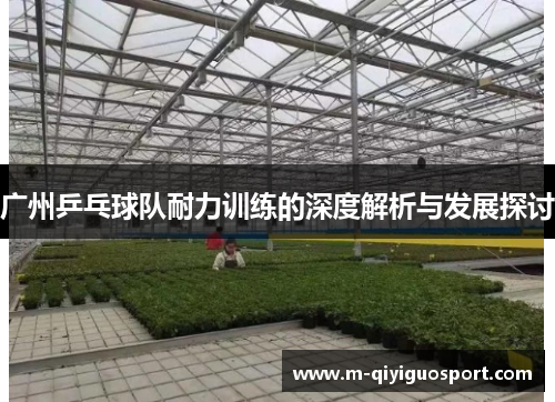 广州乒乓球队耐力训练的深度解析与发展探讨