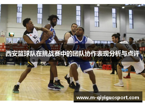 西安篮球队在挑战赛中的团队协作表现分析与点评